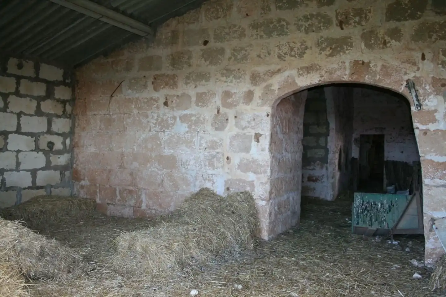 Landhaus mit Pool zum Verkauf in Cala Blanca, imagen 73