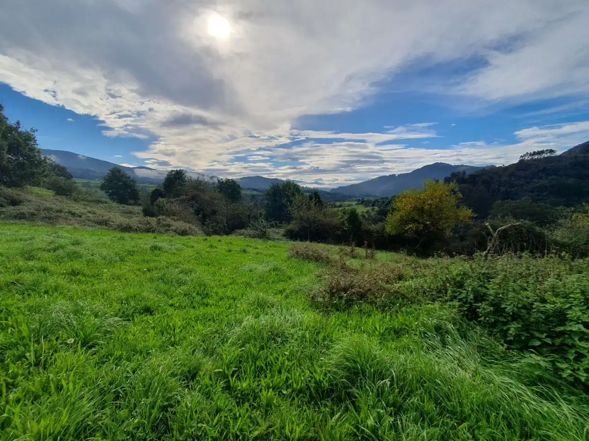 Casa o chalet en venta en Candamo