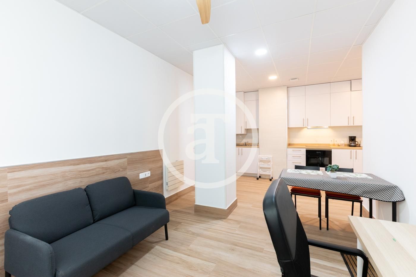 Sala d'estar de Pis de lloguer en  Madrid Capital amb Calefacció, Moblat i Forn