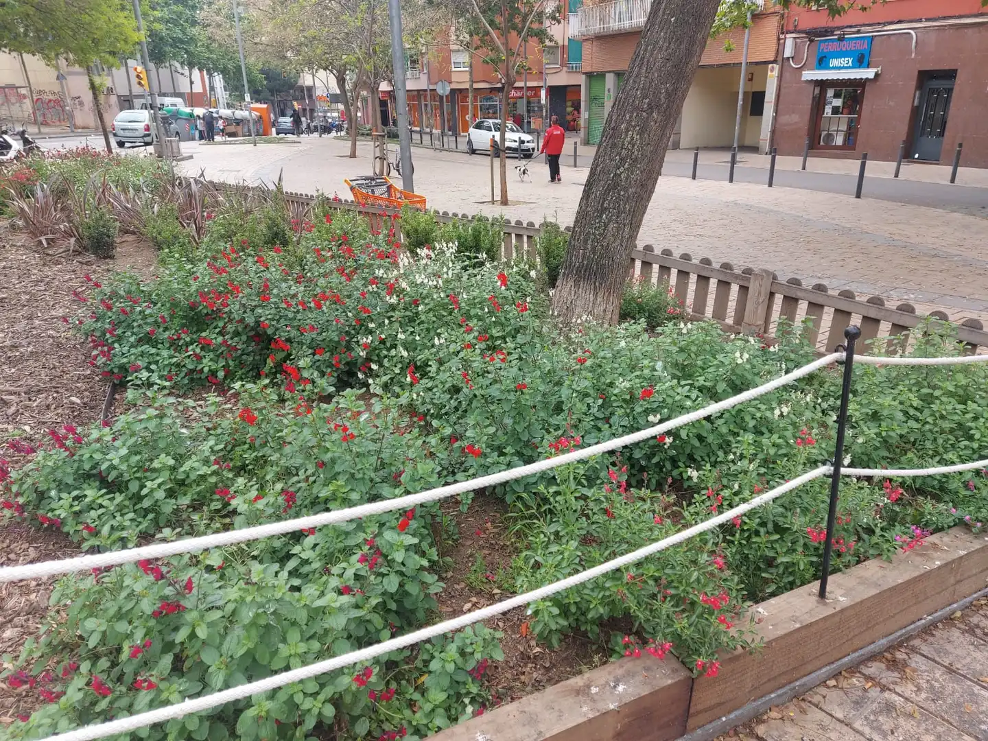 Garten von Wohnung zum Verkauf in L'Hospitalet de Llobregat