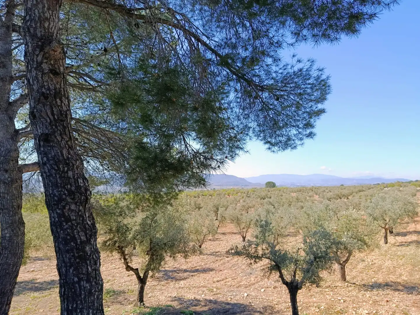 Houses for sale in Cañada  with Private garden and Furnished