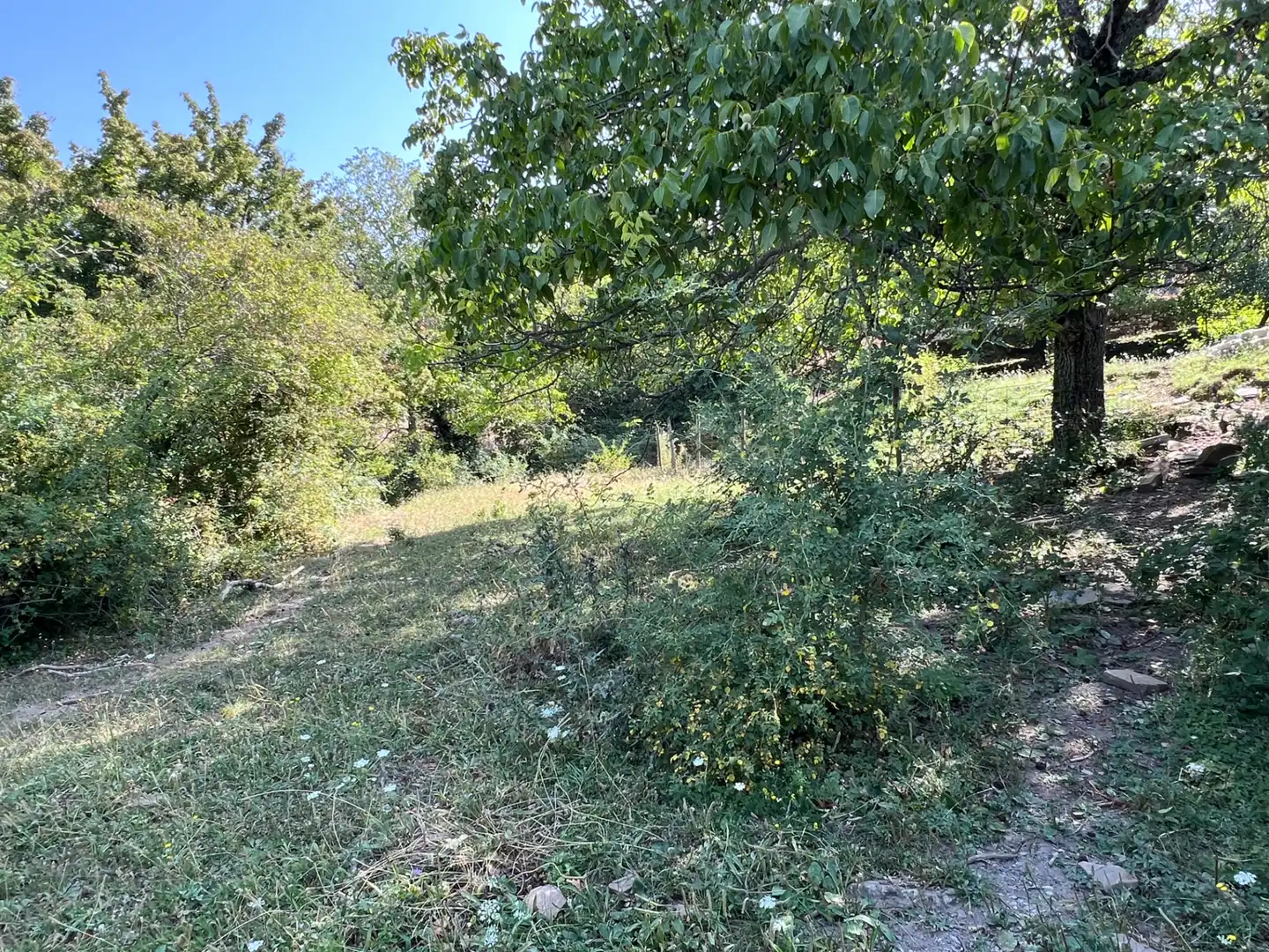 Land for sale in Broto