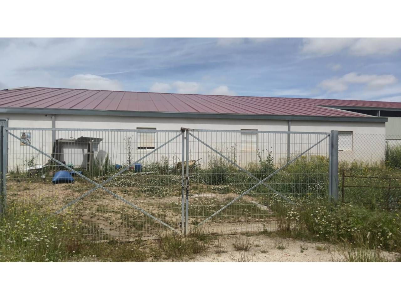 Exterior view of Industrial buildings for sale in Cantalapiedra