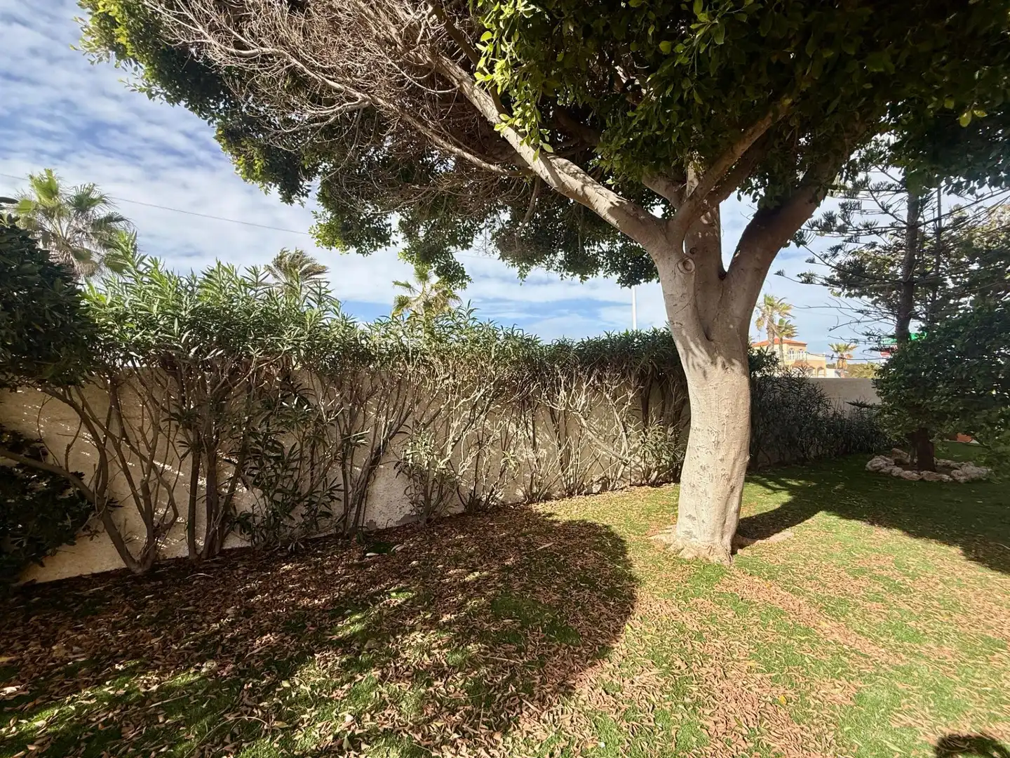 Xalet amb terrassa en venda a Playa de las Gaviotas - El Pedrucho, imagen 15