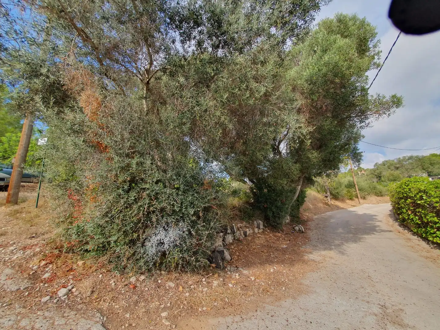 Terrain rustique à vendre à Carrer Riu Francolí 44, imagen 12