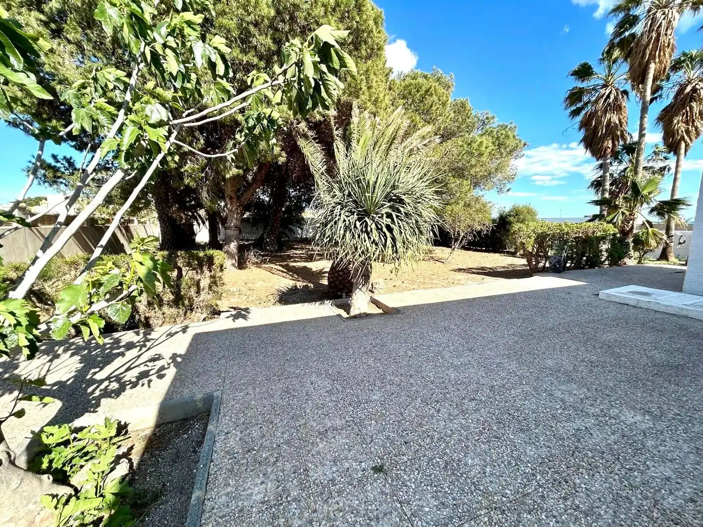 Vista exterior de Casa o chalet en venta en Almería con Jardín privado y Terraza