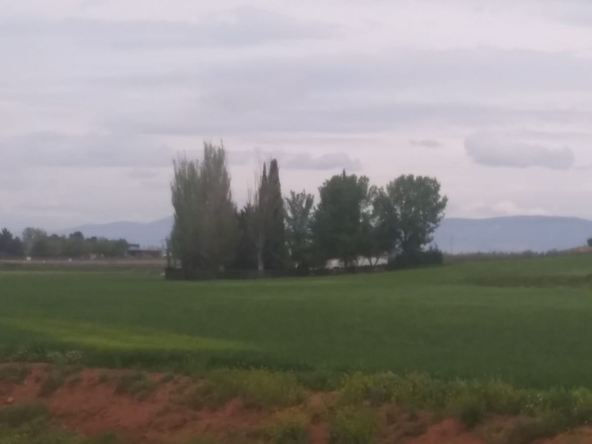 Finca rústica en venda en Daimiel