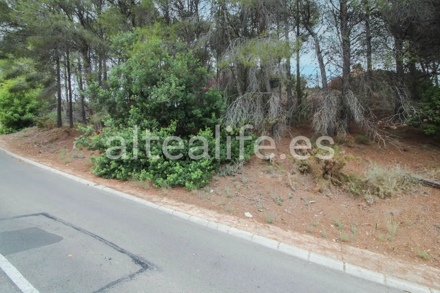 Terreny residencial en venda a Carrer Figuera