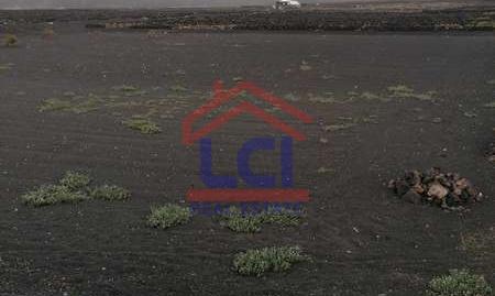 Foto 4 de Terreno en venta en La Geria, Las Palmas