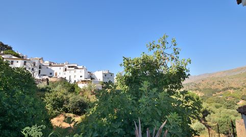 Photo 2 of Detached homes for sale in Calle Iglesia, 19, Parauta, Málaga