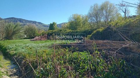 PARCELA PARA REGREO A 4 MINUTOS DE BAENA. POR SOLO 16.000, immagine 4