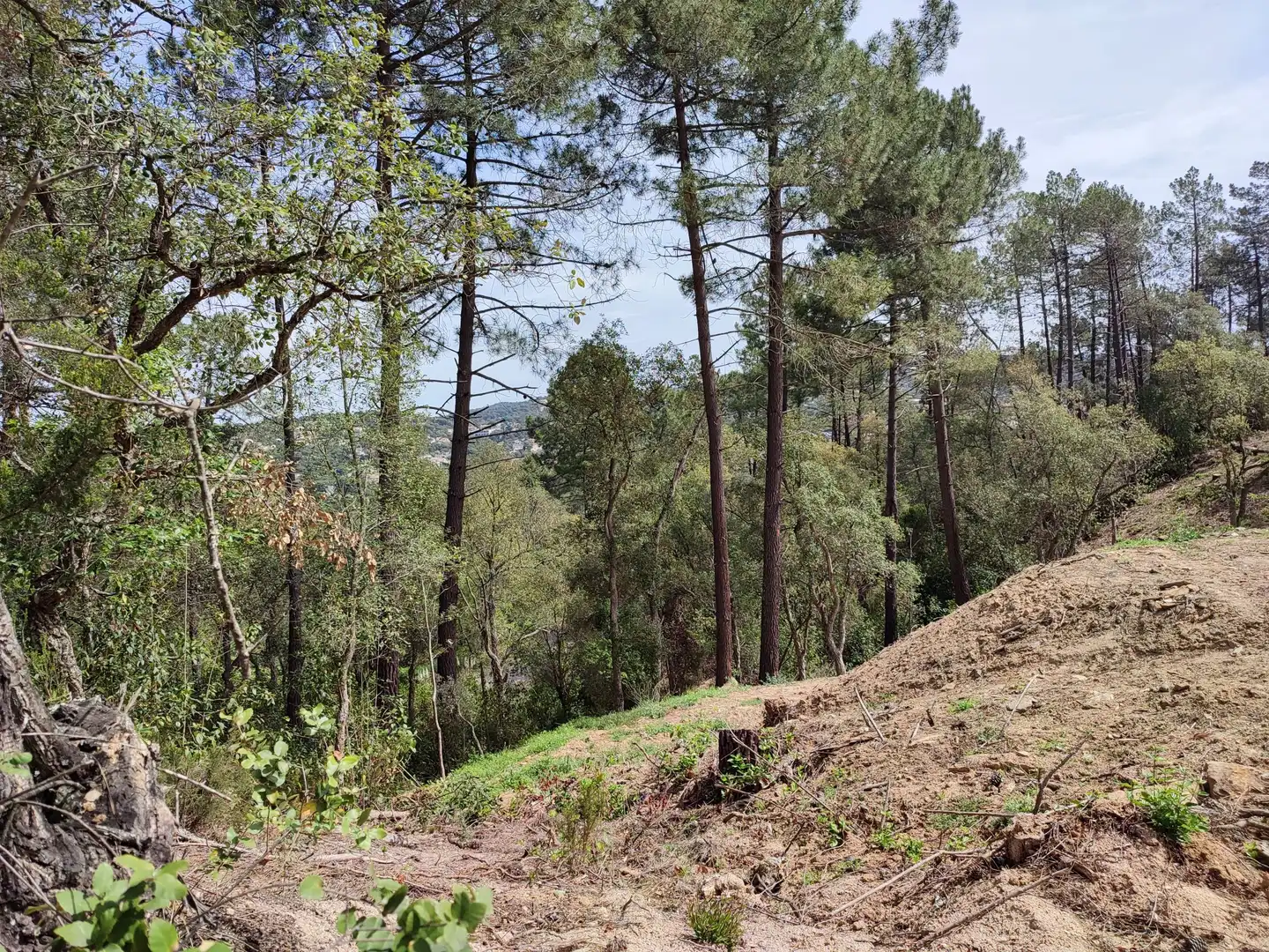 Wohnbaugrundstück zum Verkauf in Carrer Vallespir, imagen 3