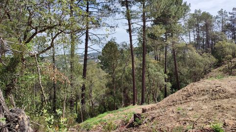 Foto 3 de Residencial en venta en Carrer Vallespir, Lloret Blau - La Creu de Lloret, Lloret de Mar