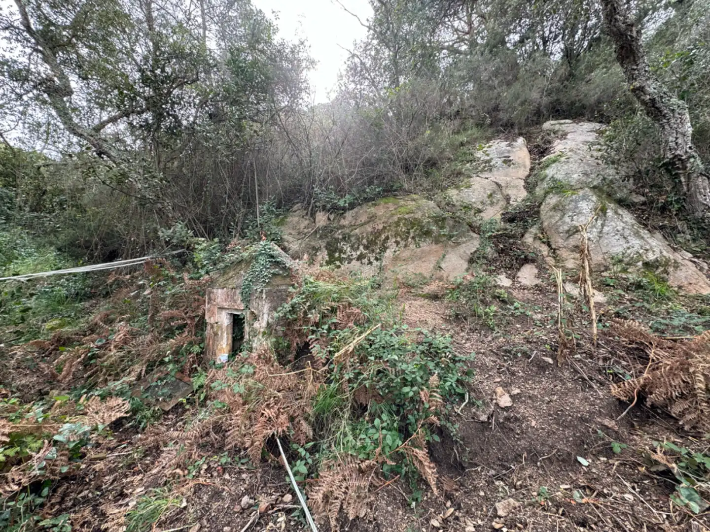 Terreny rústic en venda a Carrer Afores 92, imagen 21