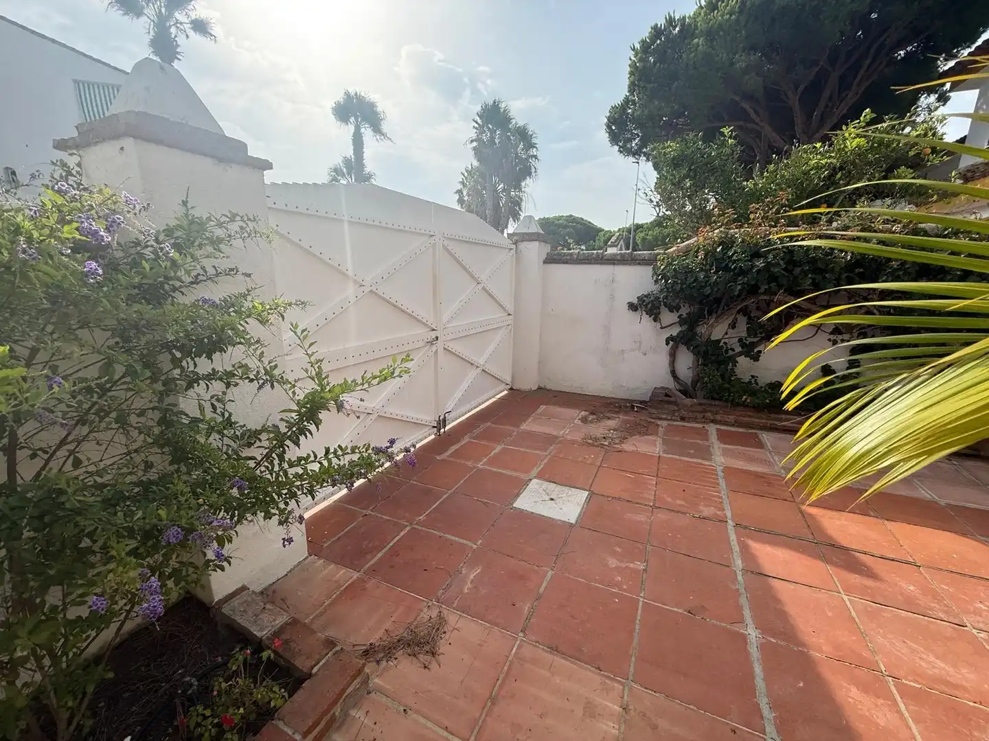 Jardín de Casa o chalet en venta en Sancti Petri