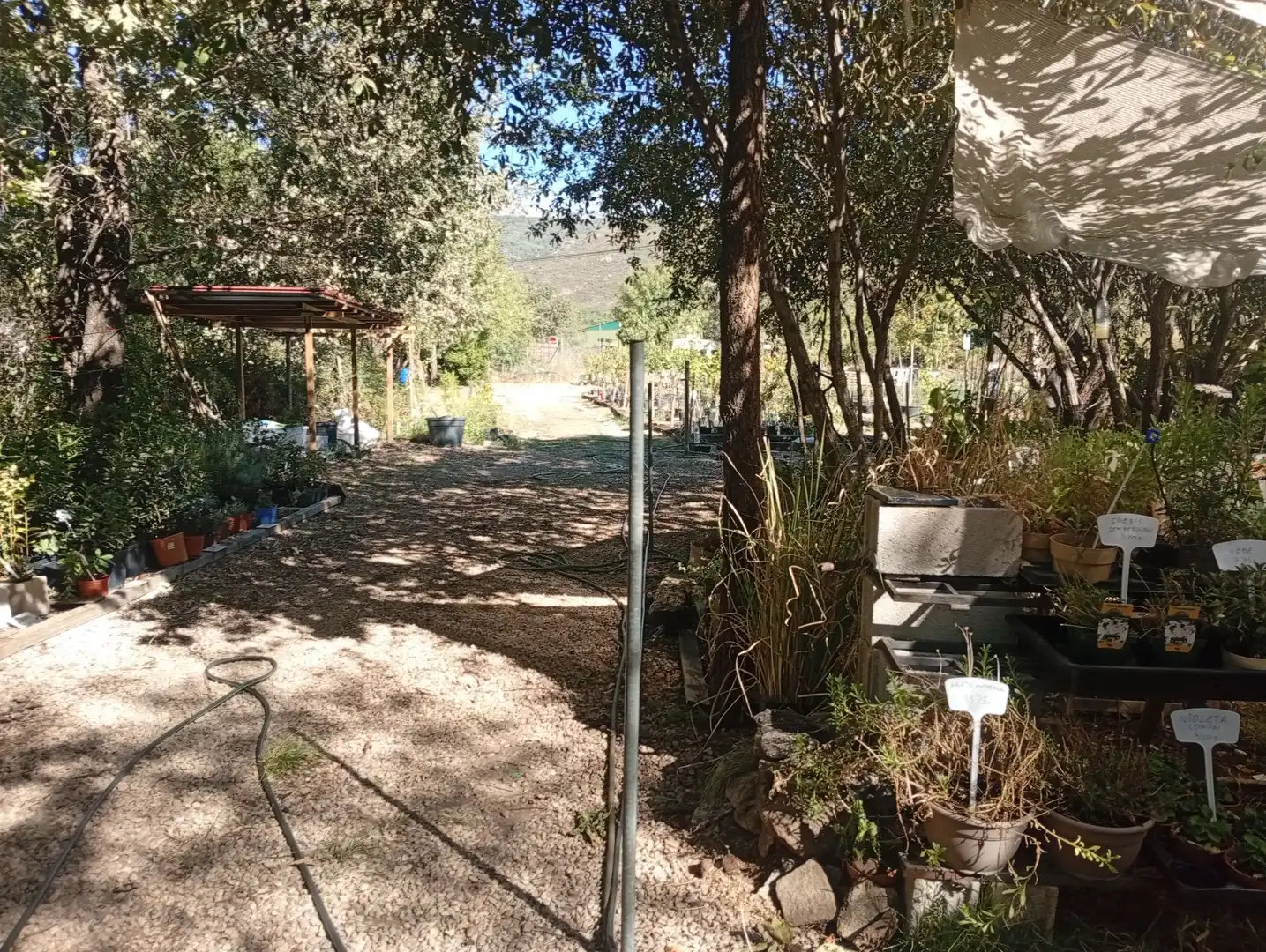 Terrain rustique à vendre à Villanueva de la Vera, imagen 10
