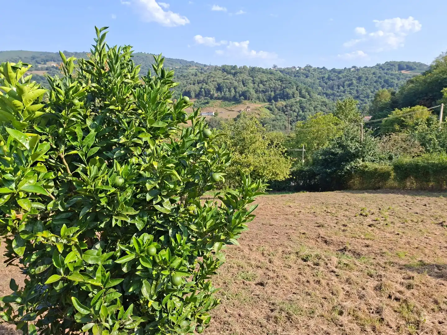 Residential land for sale in AS-376, imagen 10