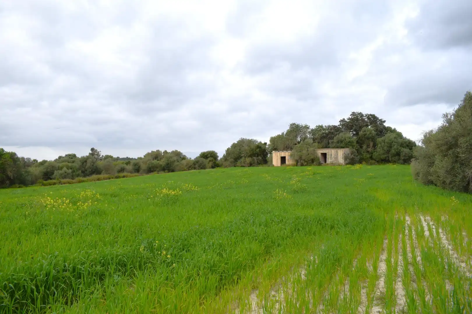 Casa rústica en venta en Muro, imagen 20