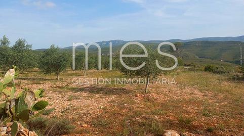 Foto 2 de Finca rústica en venda a Cañada del Pinar, Macastre, Valencia