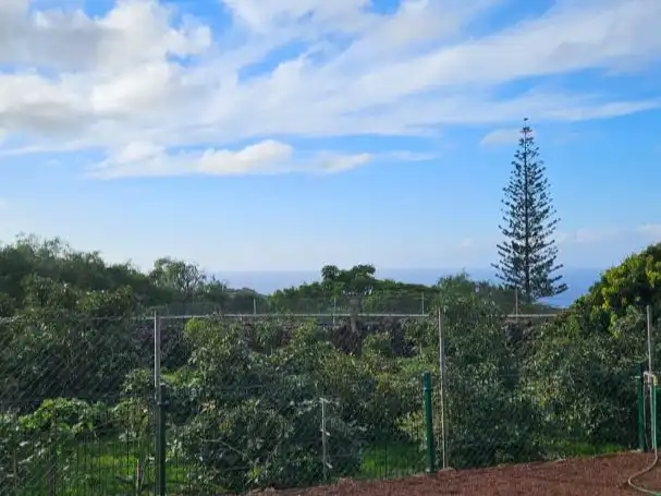 Jardín de Terreno en venta en San Cristóbal de la Laguna