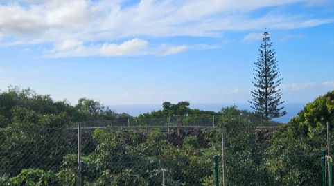 Foto 5 de Terreno en venta en Camino Pico Bermejo, 120, Tejina, San Cristóbal de la Laguna