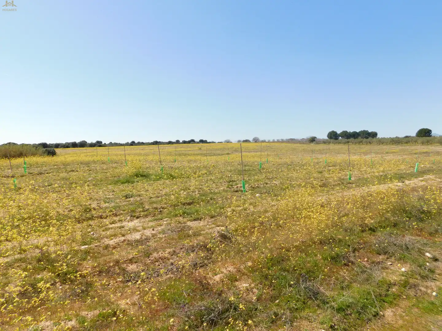 Terreno en venta en Villa del Prado