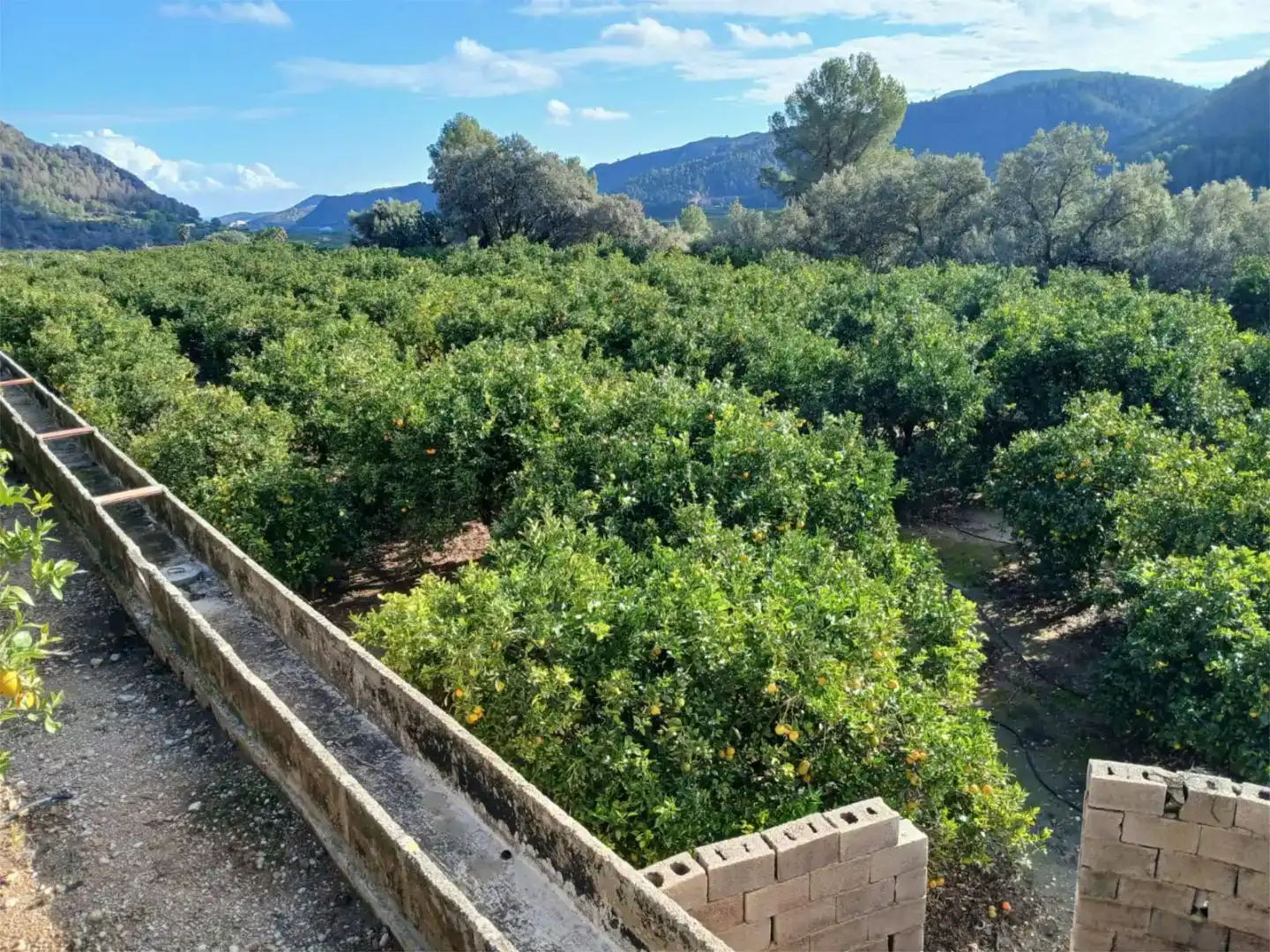 Land for sale in L'Atzúbia