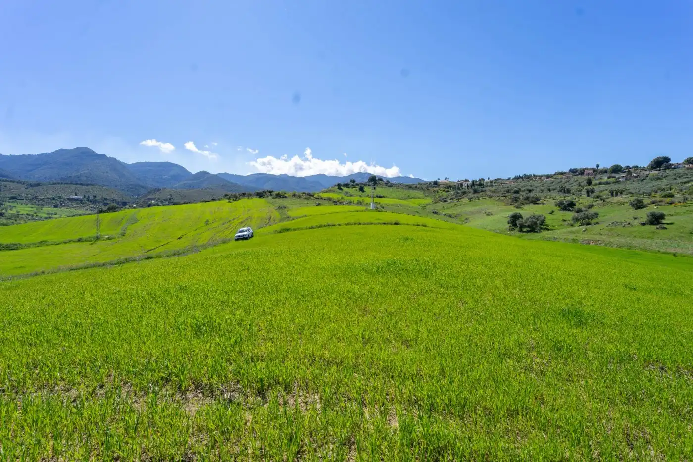 Rural land for sale in Lugar Arroyo Hondo, imagen 3