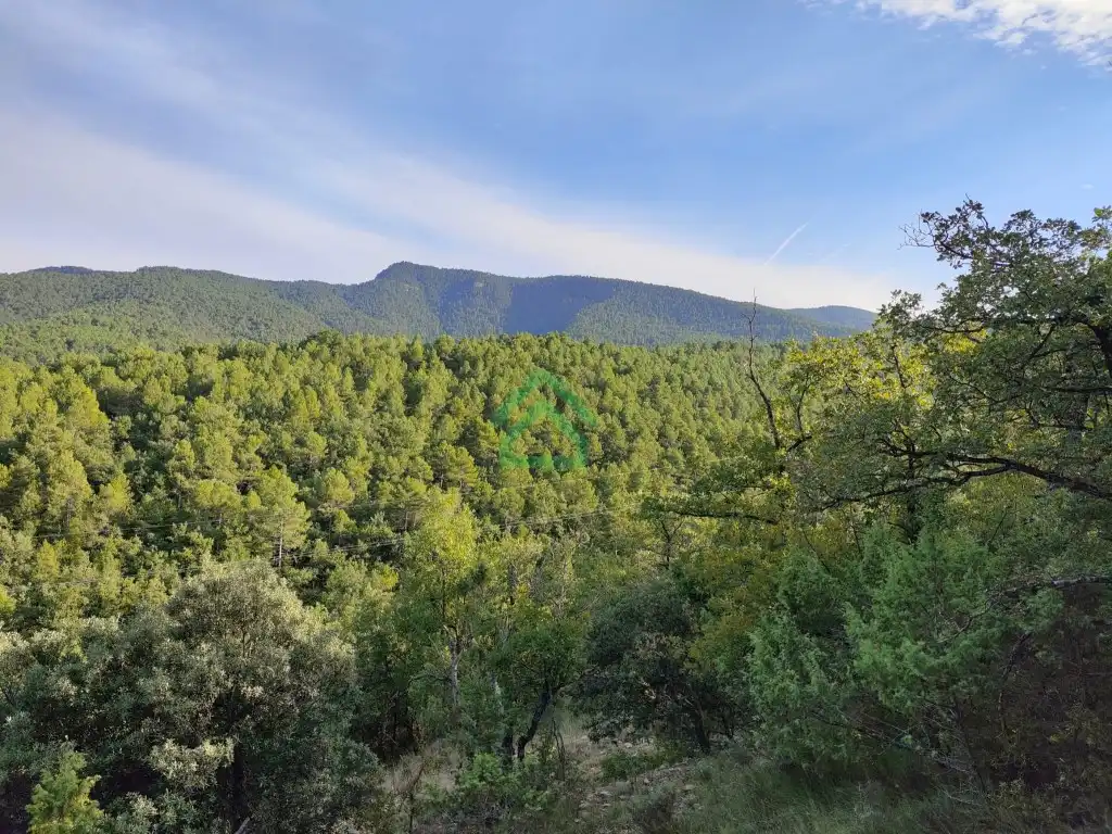 Finca rústica en venda a Carretera Isona, Coll de Nargó