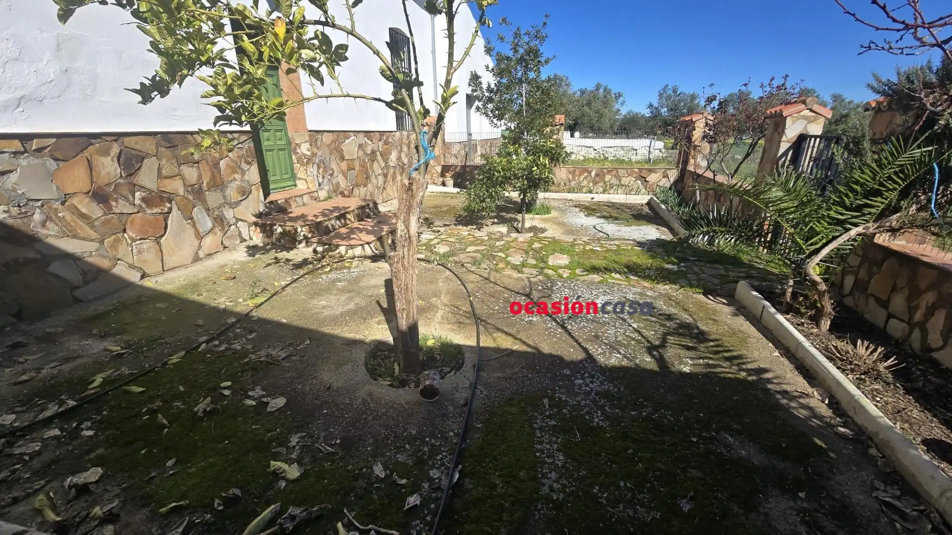 Landhaus zum Verkauf in Peñarroya-Pueblonuevo, imagen 6