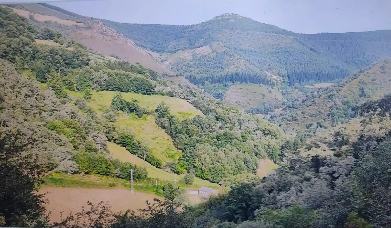 Grundstücke zum Verkauf in Becerreá