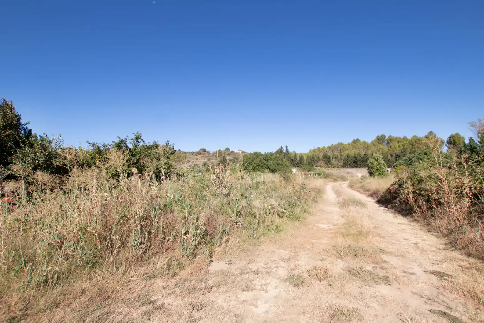 Land for sale in Tafalla - PARAJE MAKOTXA, Tafalla