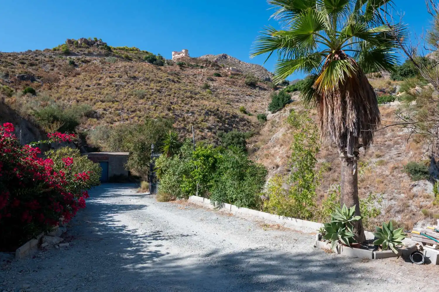 Vista exterior de Casa o chalet en venta en Molvízar con Terraza y Piscina