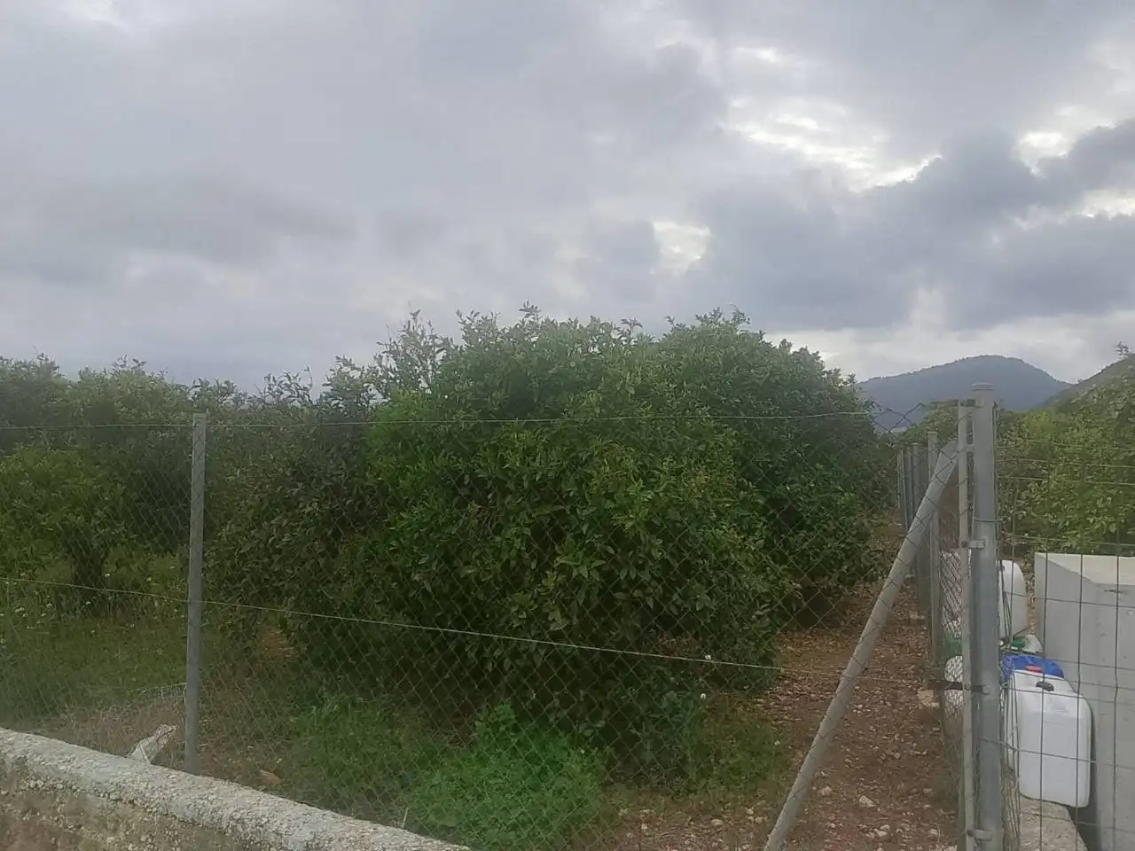 Terreny rústic en venda a Sector Enmig, imagen 10
