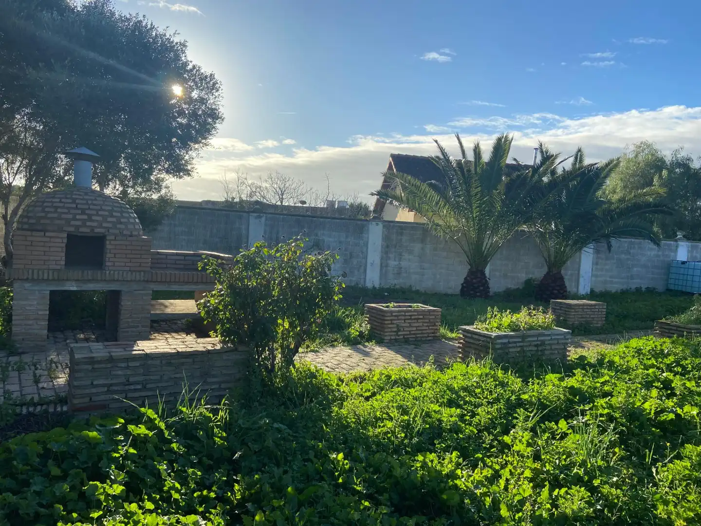 Xalet amb jardí en venda a El Juncal - Vallealto, imagen 5