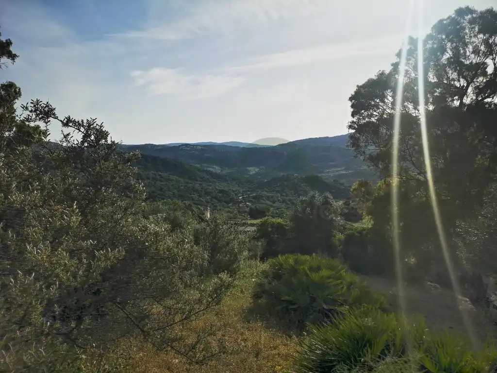 Casa o chalet en venta en Benadalid