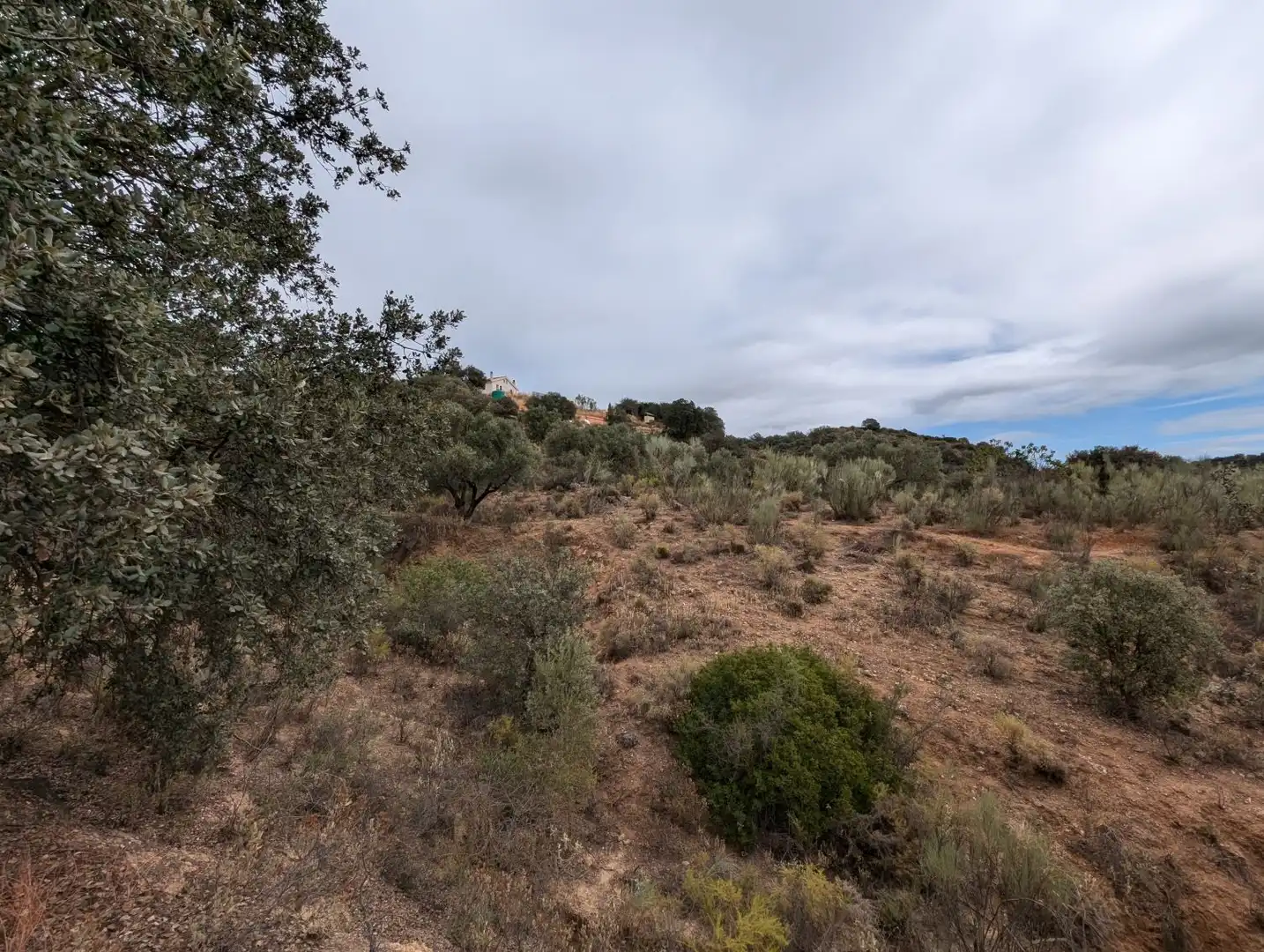 Casa o xalet en venda en Loja amb Calefacció, Jardí privat i Terrassa