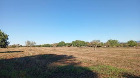 Foto 5 de Finca rústica en venda a Algaida, Illes Balears