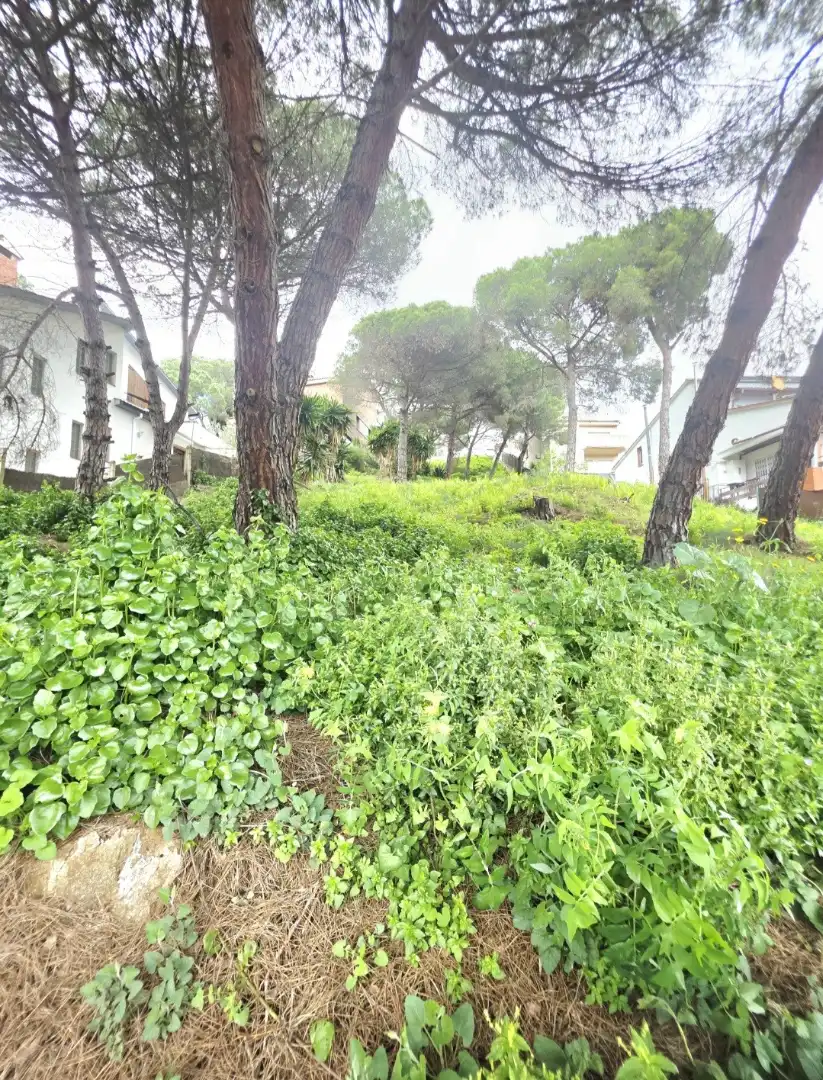 Terreny residencial en venda a Sant Fost de Campsentelles, imagen 6