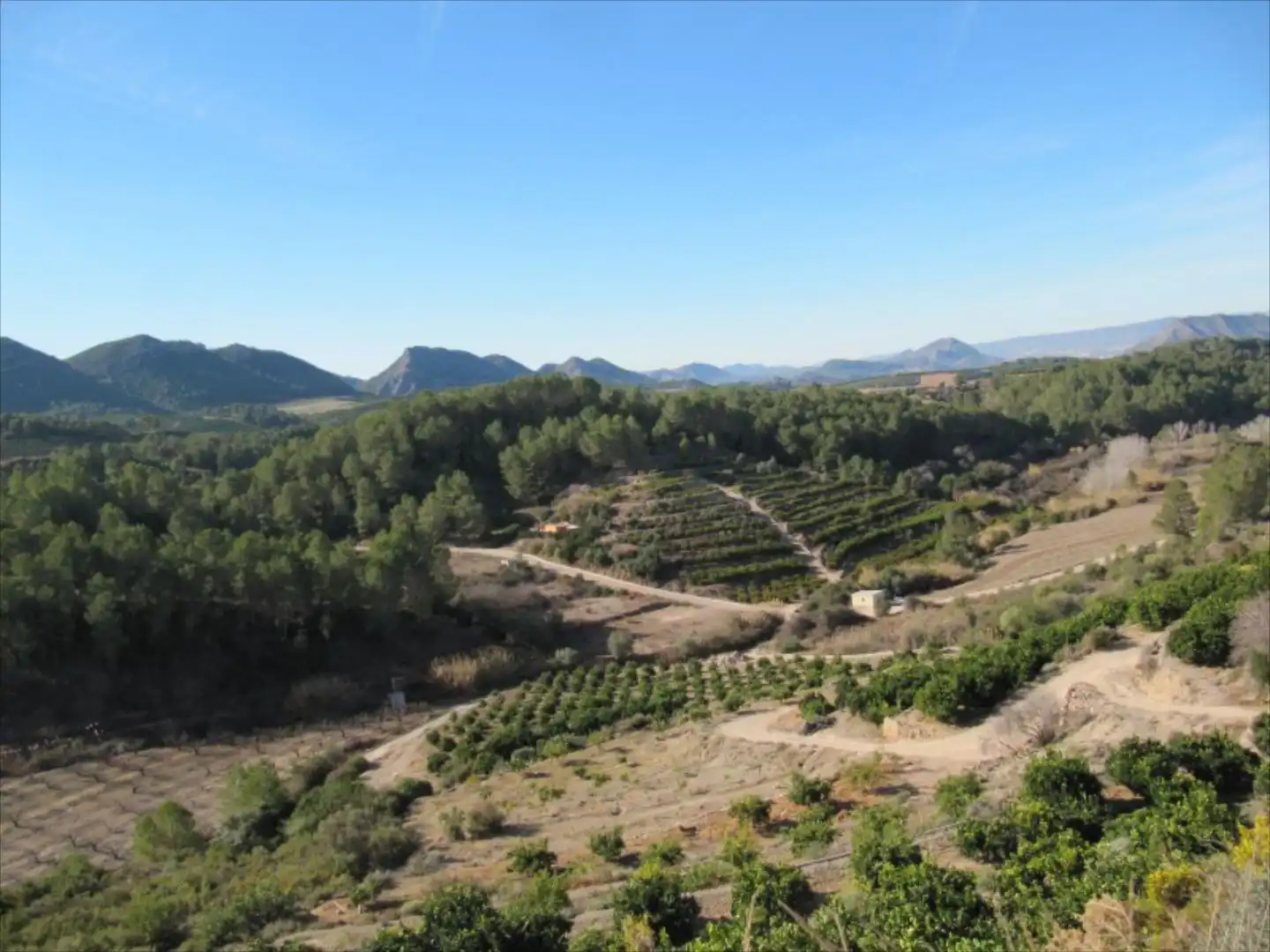 Garden of Residential for sale in Barxeta
