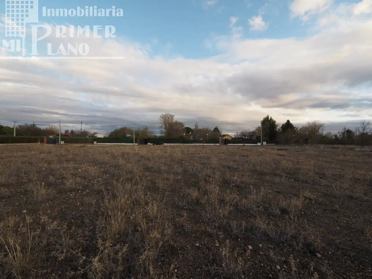Finca rústica en venda en Argamasilla de Alba