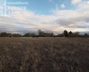 Finca rústica en venda en Argamasilla de Alba