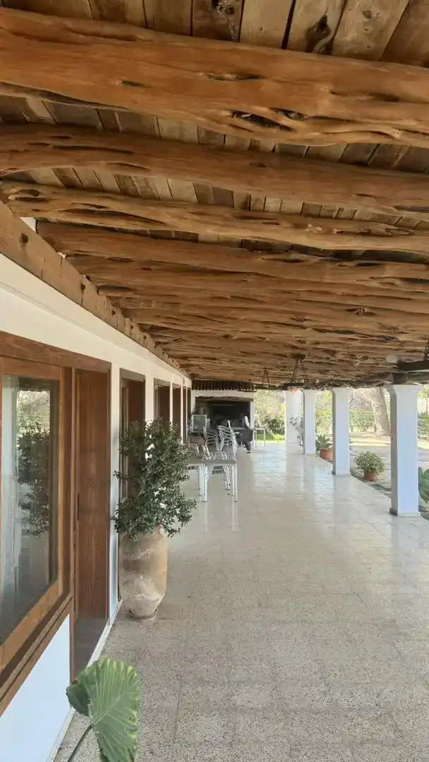 Terrasse von Geschaftsraum zur Miete in Santa Eulària des Riu mit Klimaanlage