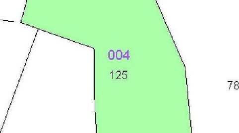 MAGNIFICA PARCELA RUSTICA DE 7256 M2, imatge 2
