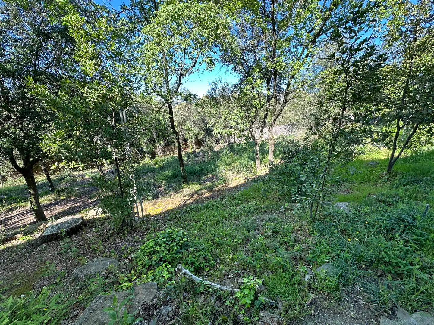 Casa o xalet en venda en Matadepera amb Jardí privat, Terrassa i Moblat