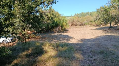 Foto 4 de Finca rústica en venda a A Pobra do Brollón , Lugo