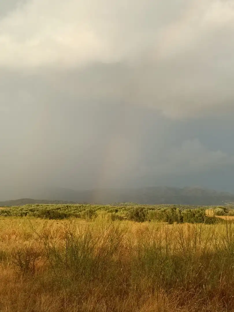 Terreny rústic en venda a Sant Climent Sescebes, imagen 3