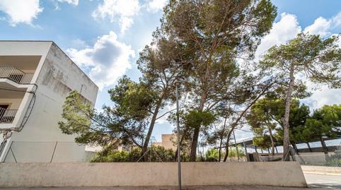 Photo 5 of Land for sale in S'Illot - Cala Morlanda, Manacor