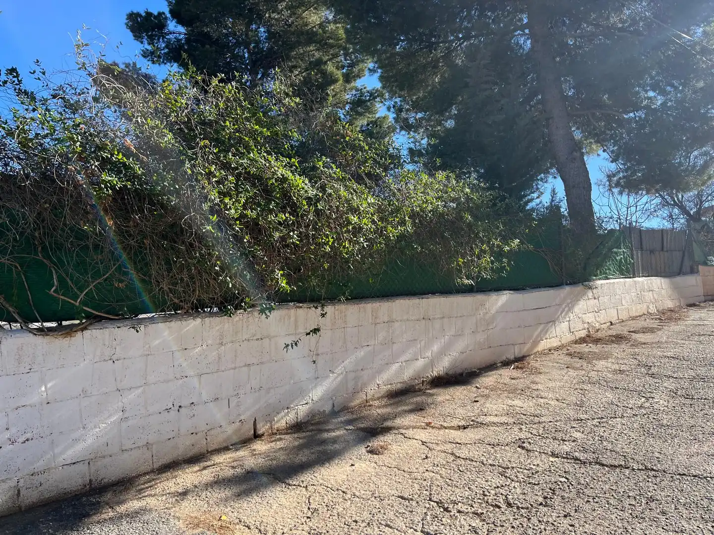 Vista exterior de Finca rústica en venda en Fiñana amb Aire condicionat, Jardí privat i Terrassa