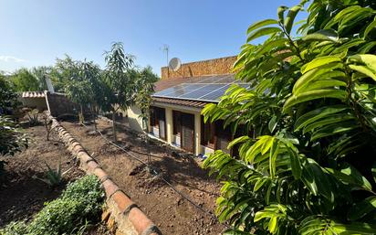 Vista exterior de Casa o xalet en venda en El Sauzal amb Aire condicionat, Jardí privat i Terrassa